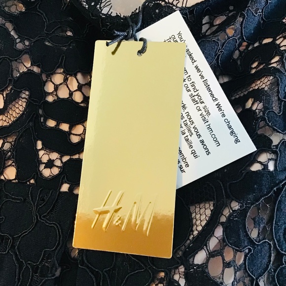 H&M size 10/38 premium collection black and dusty rose lace dress BNWT - Picture 12 of 12